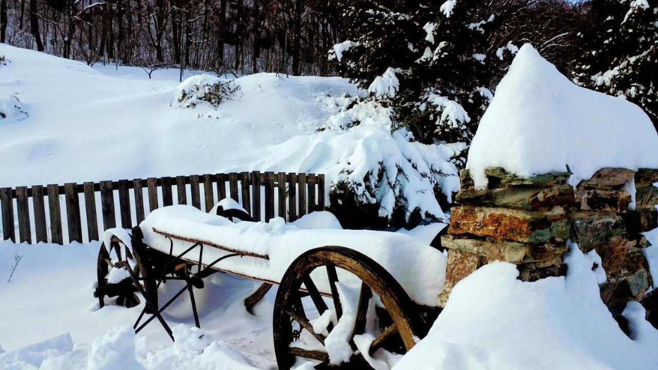 Pod Hradom Restaurant & Pension Topoľčany Zewnętrze zdjęcie
