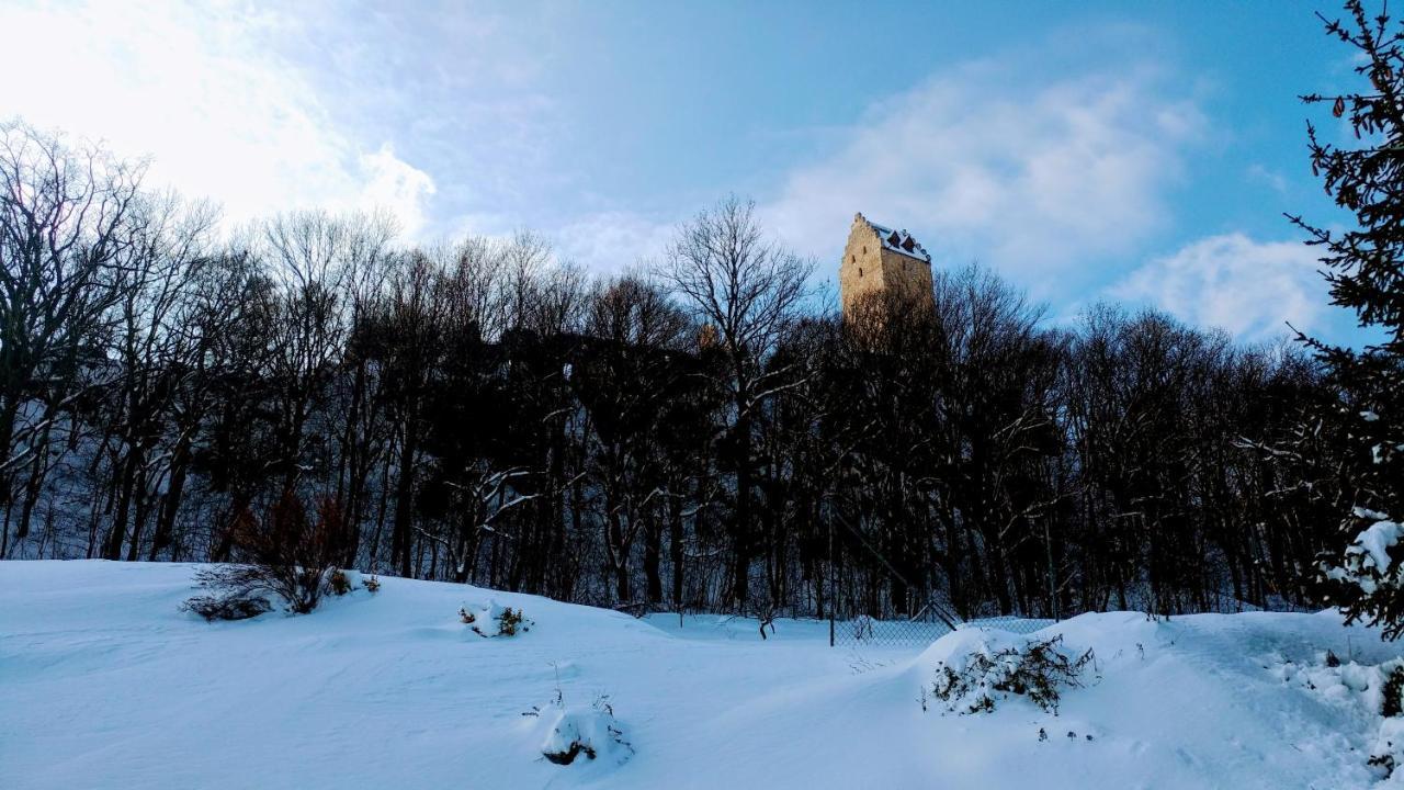Pod Hradom Restaurant & Pension Topoľčany Zewnętrze zdjęcie